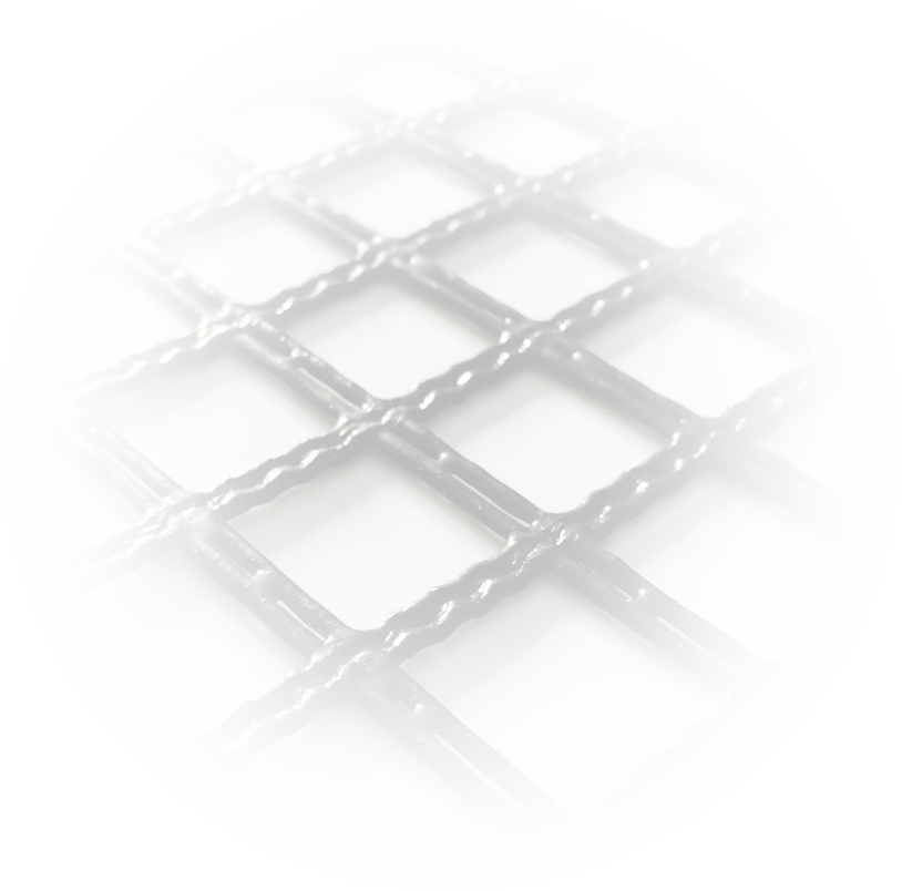 Geogrid